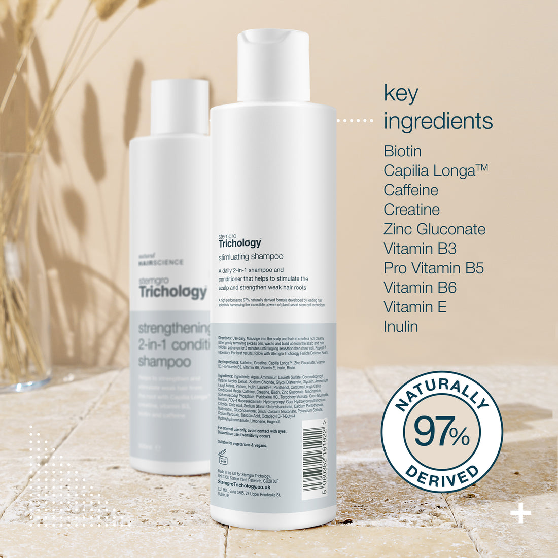 2-in-1 Conditioning Shampoo + Follicle Defence Foam Bundle